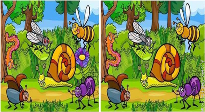 Find out the difference between two images?